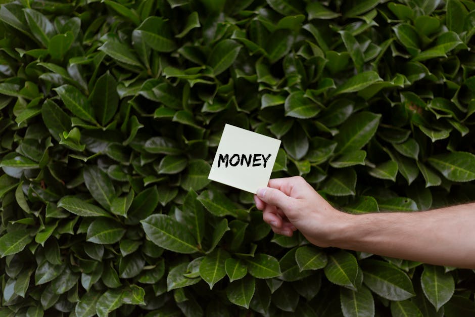 A person's hand holding a small white note card with the word 'MONEY' written on it in black capital letters, positioned against a dense background of shiny, dark green hedge leaves with prominent vei